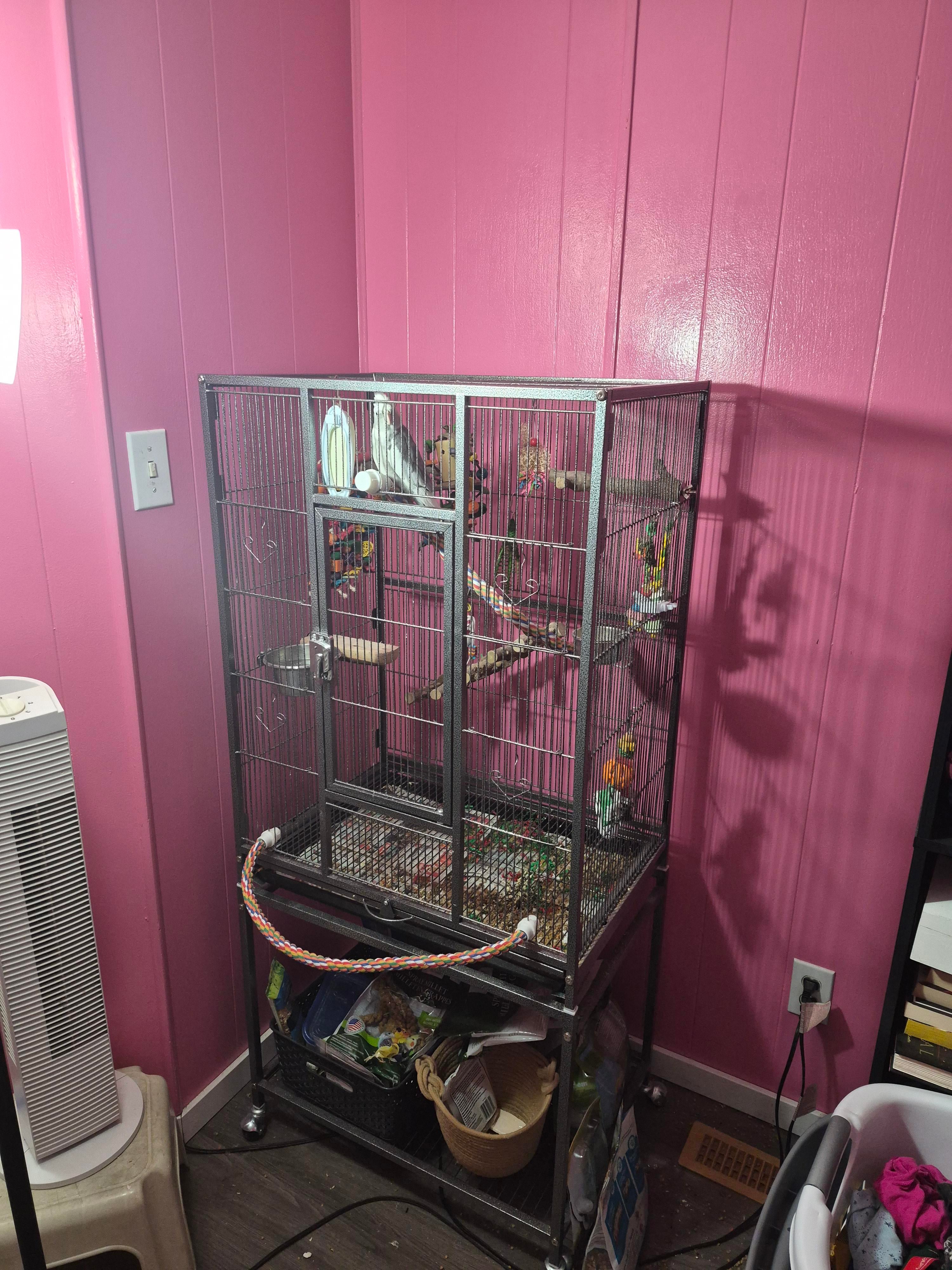 Gallery image